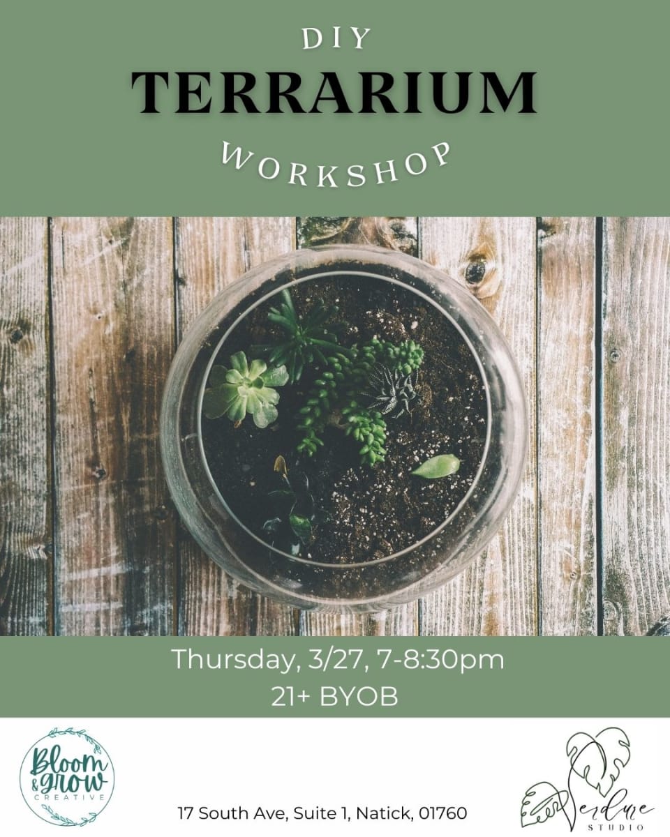 DIY Terrarium Workshop Photo