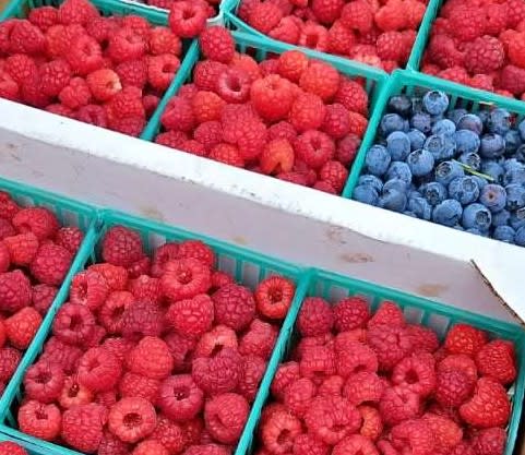 Fresh Berries -- Curds, Custards, Creams Photo