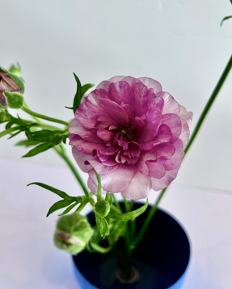 Ikebana Floral Design & Paint with Adela Flora Photo