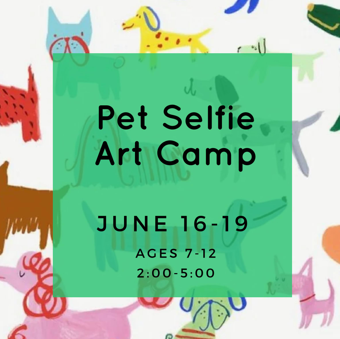 Pet Selfie Art Camp Photo