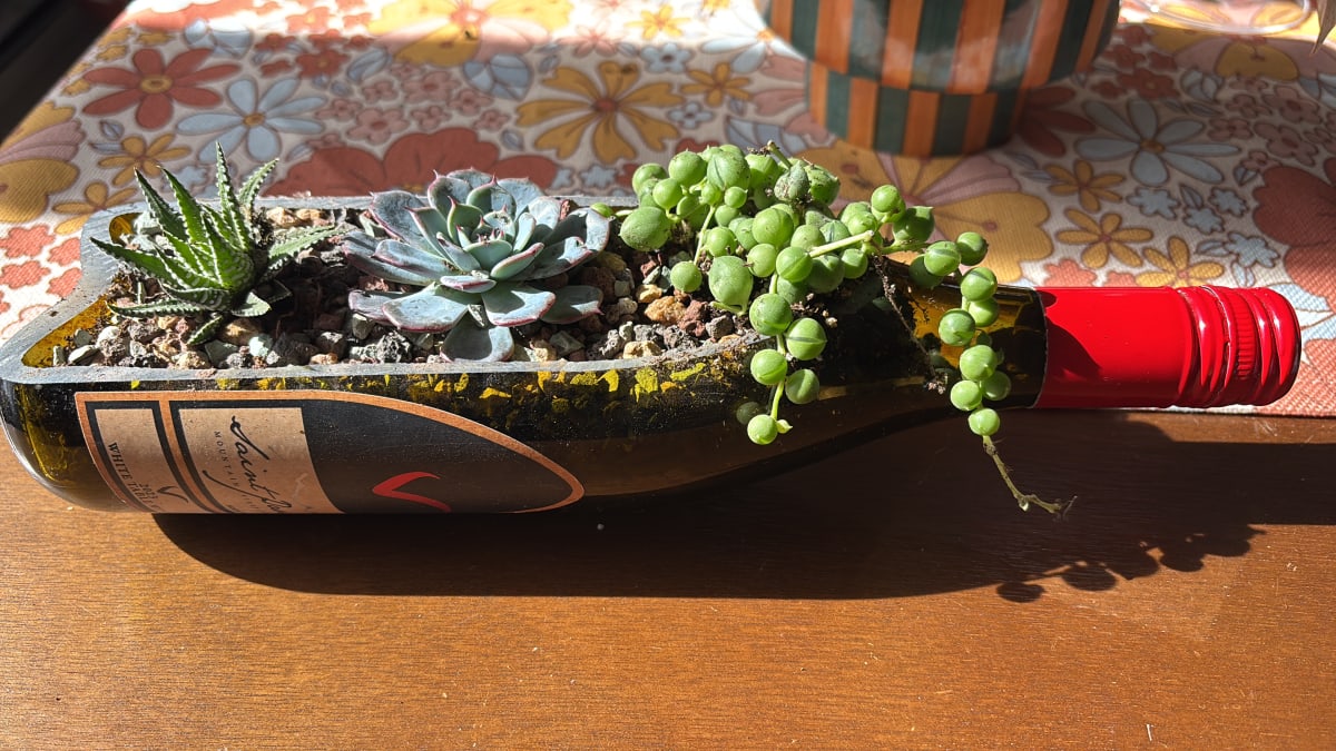 DIY Terrarium Workshop Photo