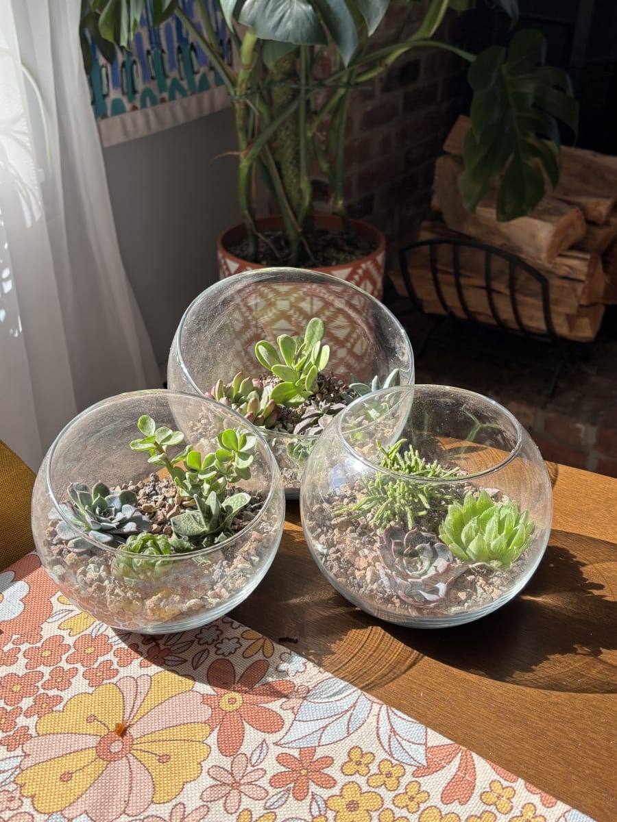 DIY Terrarium Workshop Photo