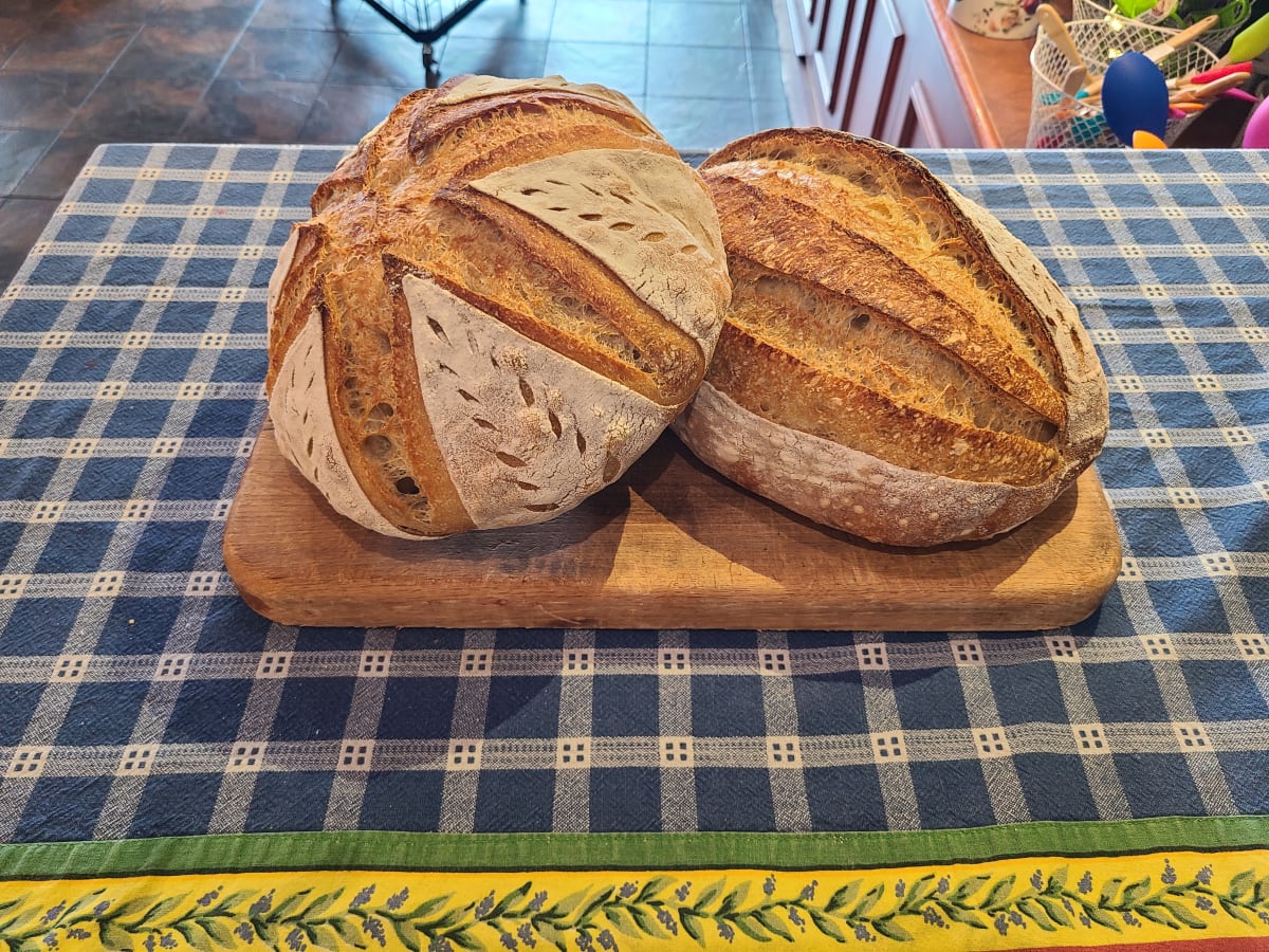Mastering Sourdough Bread - 05/02/2026 Photo