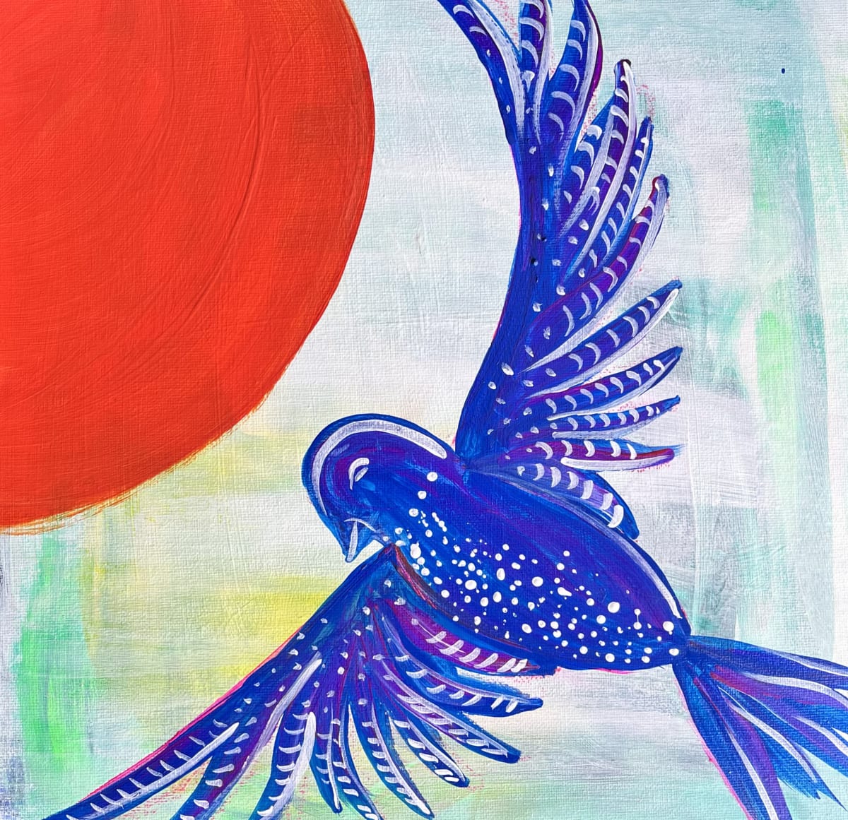 BIRD IN FLIGHT Photo