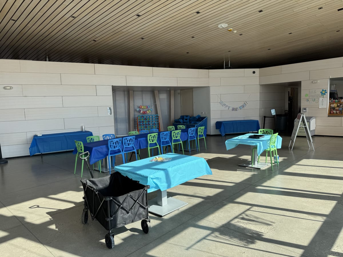 Book a Carousel Public Hours Party With Us! Photo