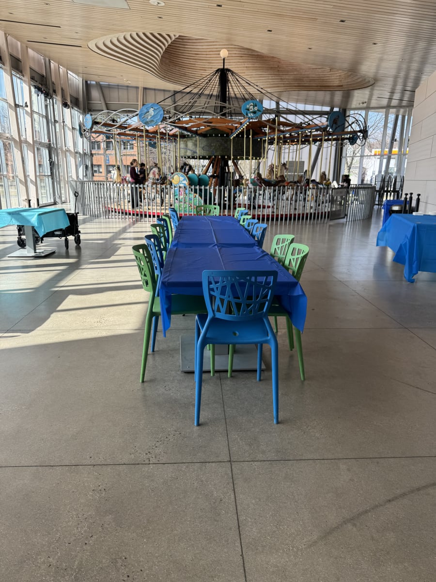 Book a Carousel Public Hours Party With Us! Photo