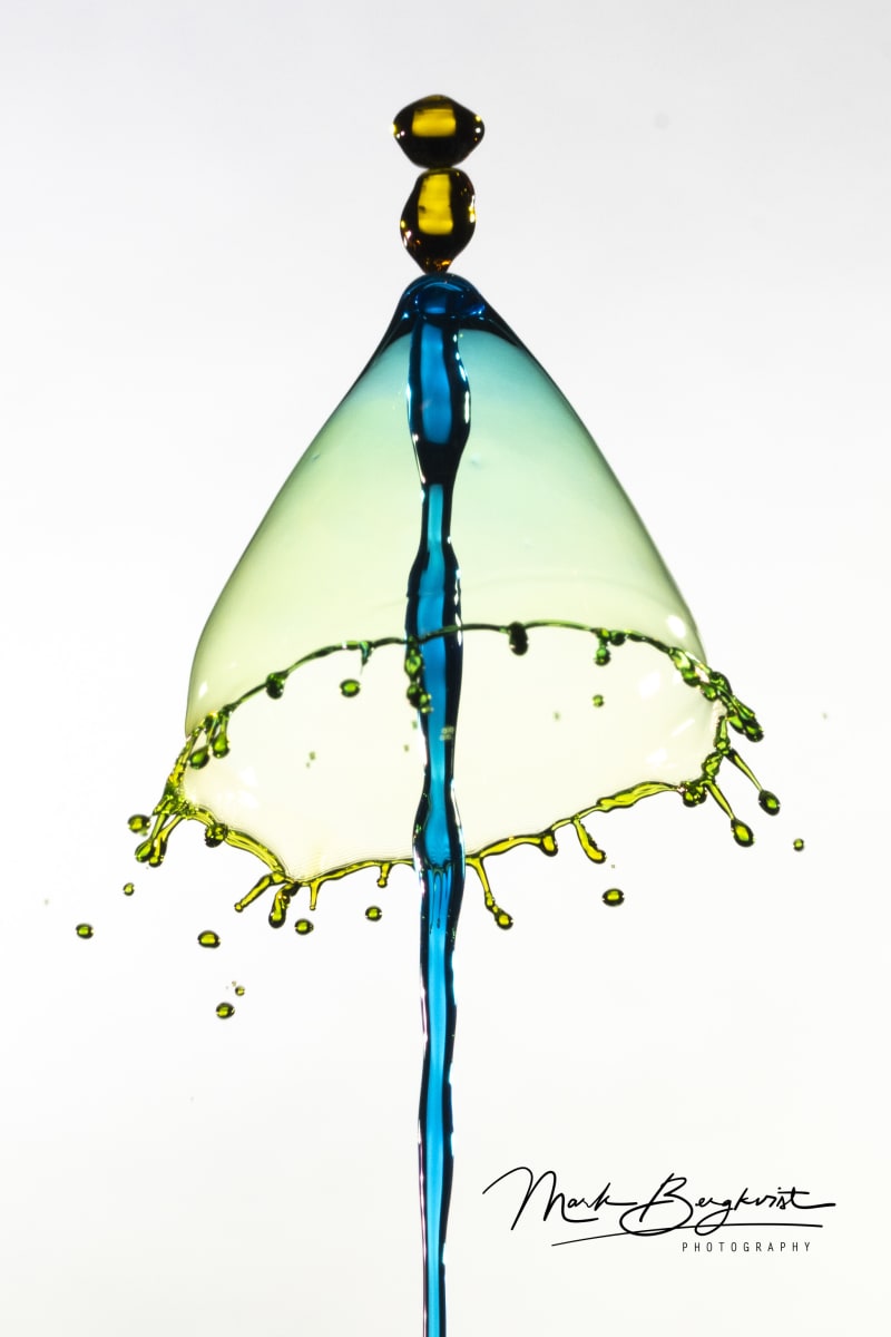 Splash Art: The Magic of Water Drop Collisions Photo