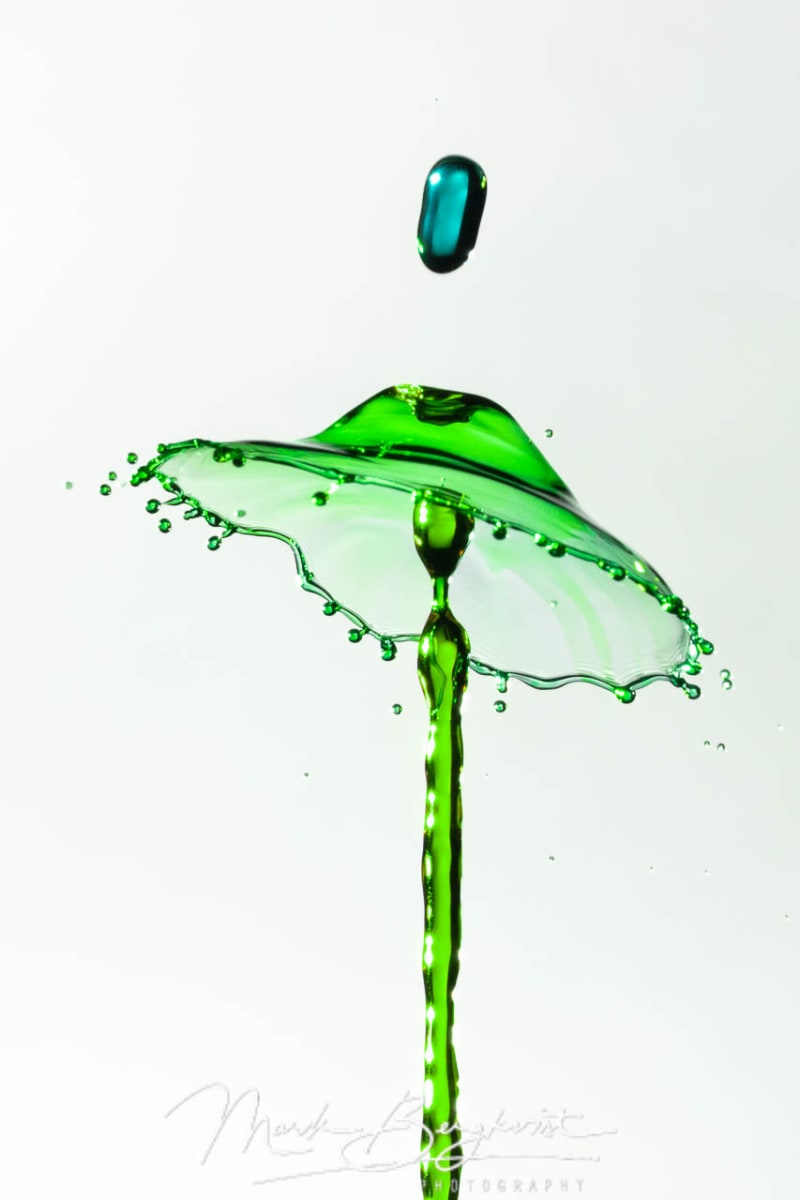 Splash Art: The Magic of Water Drop Collisions Photo