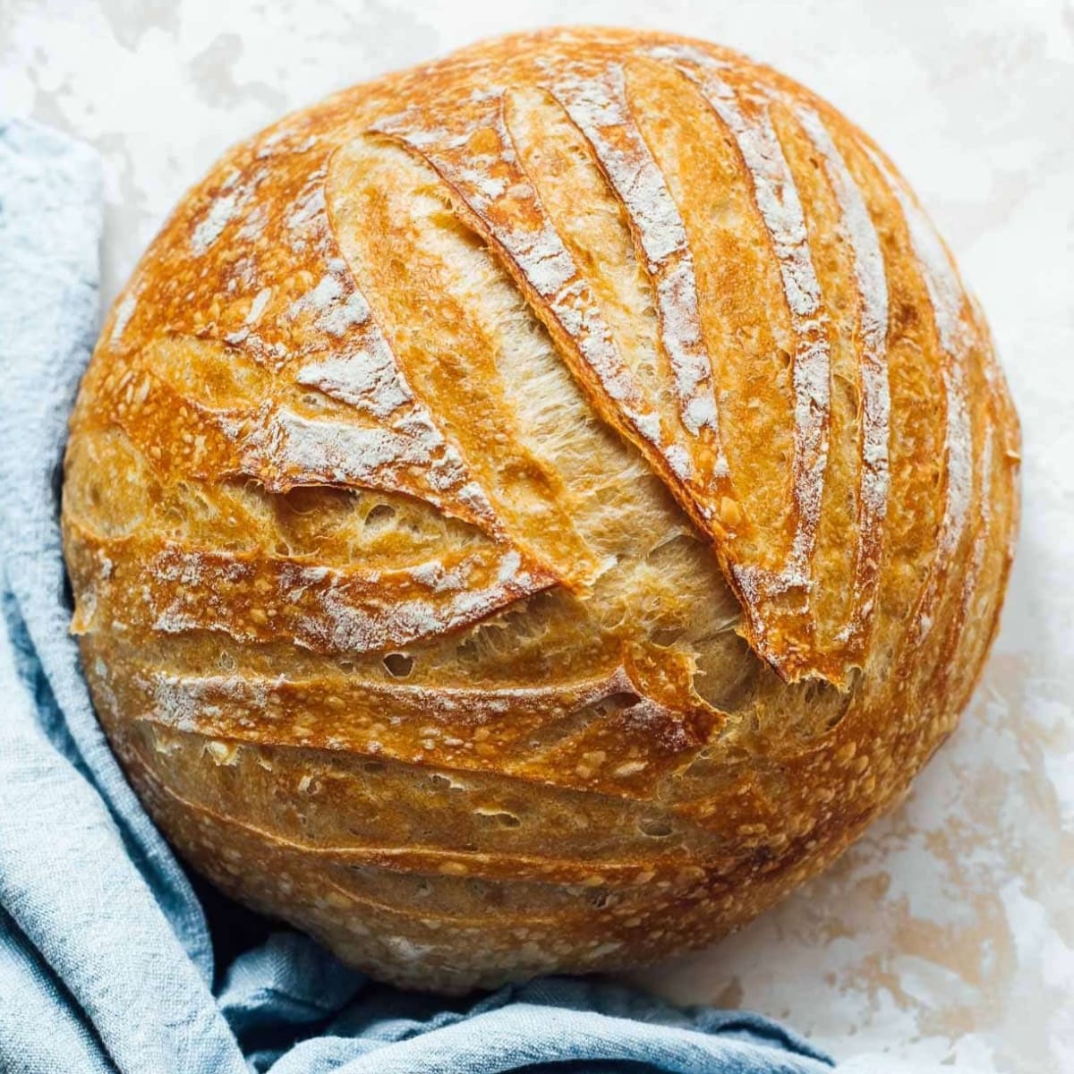 The Art of Sourdough from Starter to Slice: Hands-On Cooking Class Photo