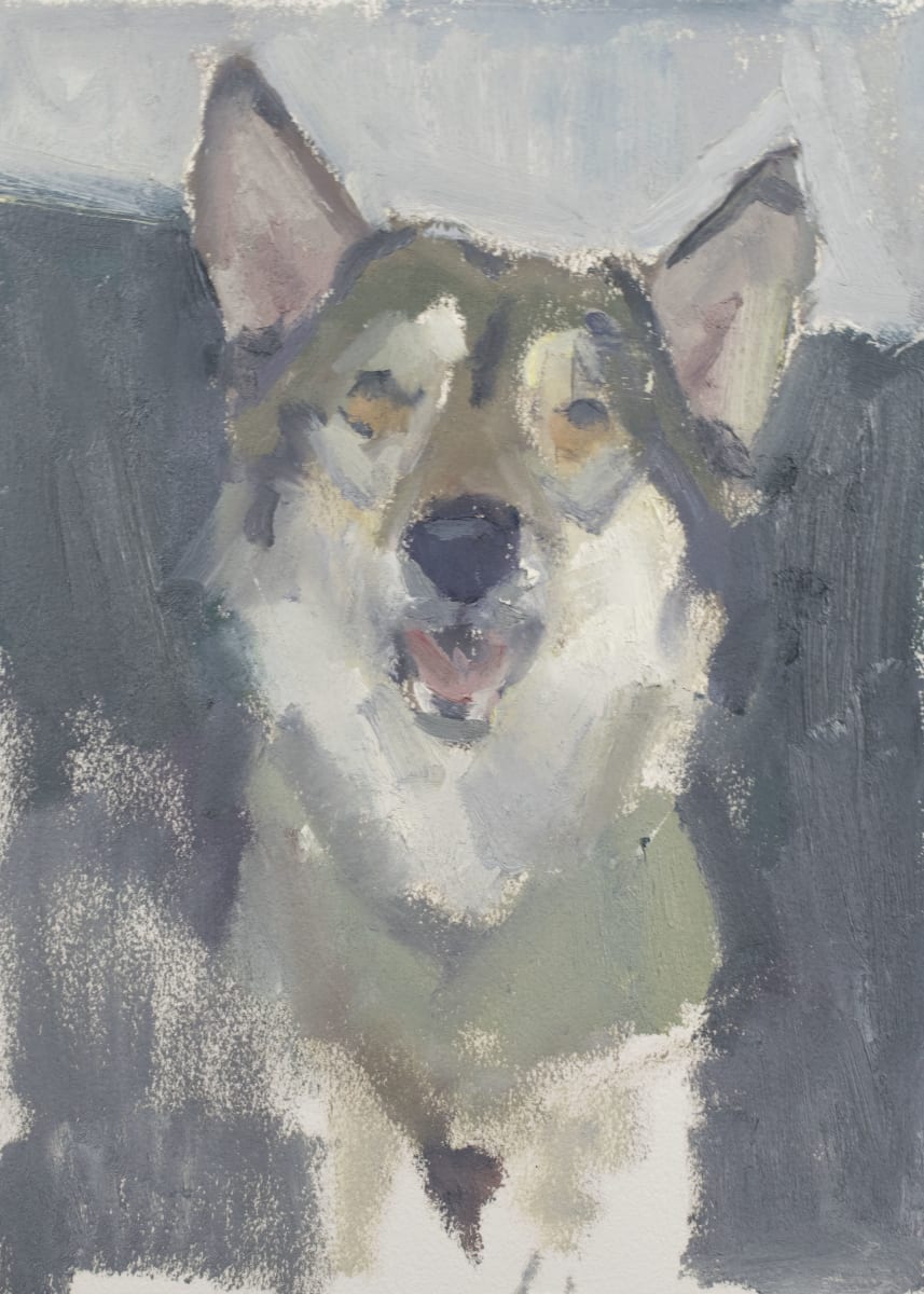 Pet Portrait Workshop, July 12, Ages 18+ Photo