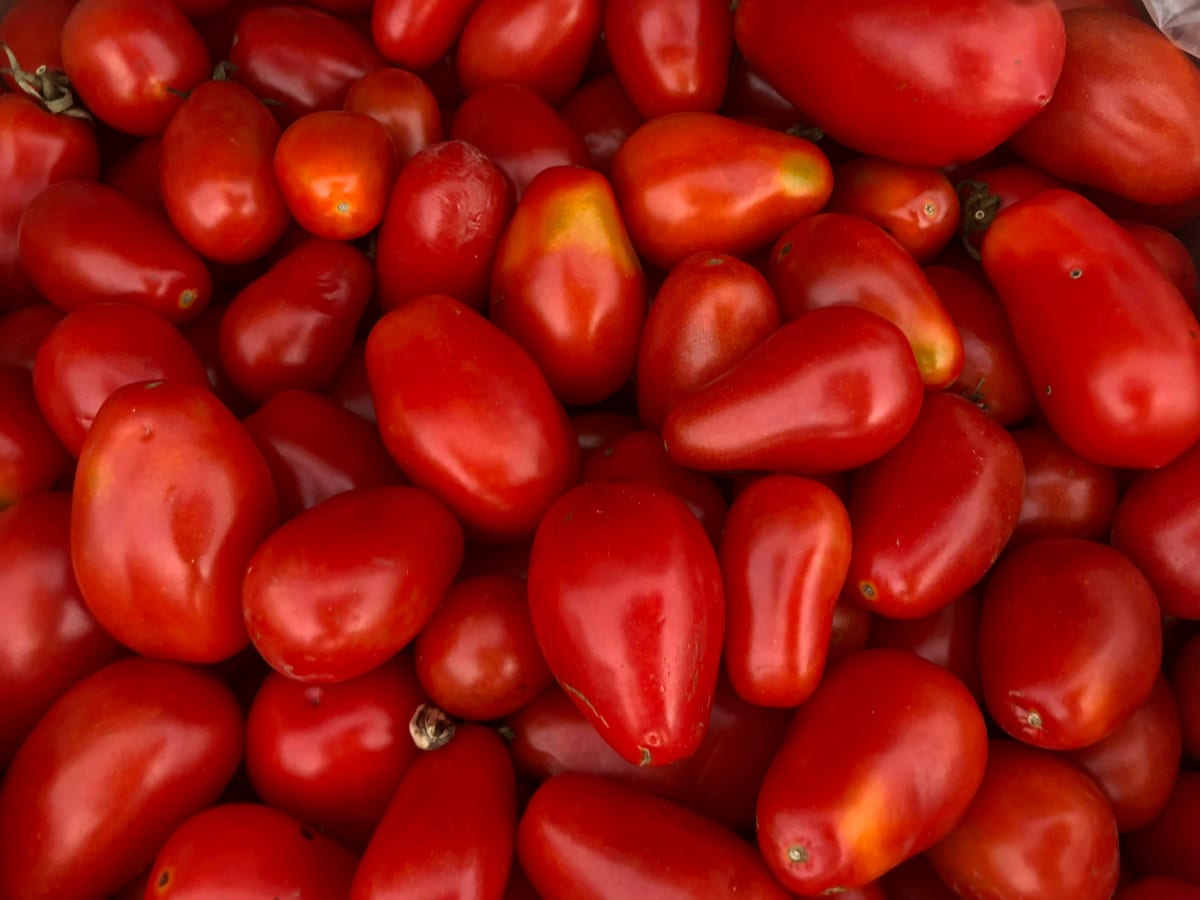 Chicken Cacciatore & Cheesy Parmesan Risotto   $100.00+fees [Amityville] Photo