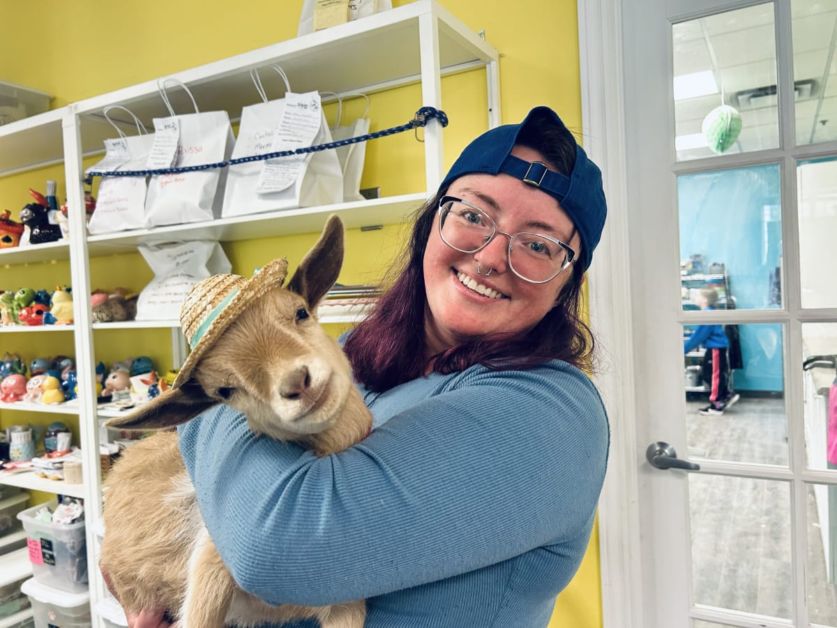 Painting with Goats Photo