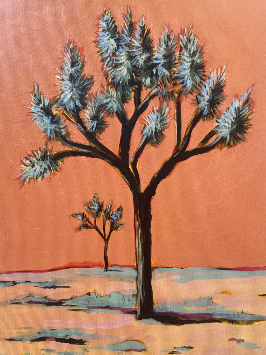 Foto de JOSHUA TREE (37.50€)