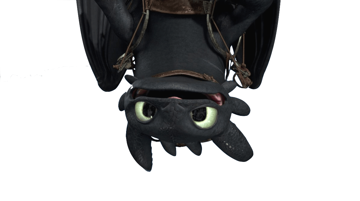 Family Paint Night! - Toothless Photo