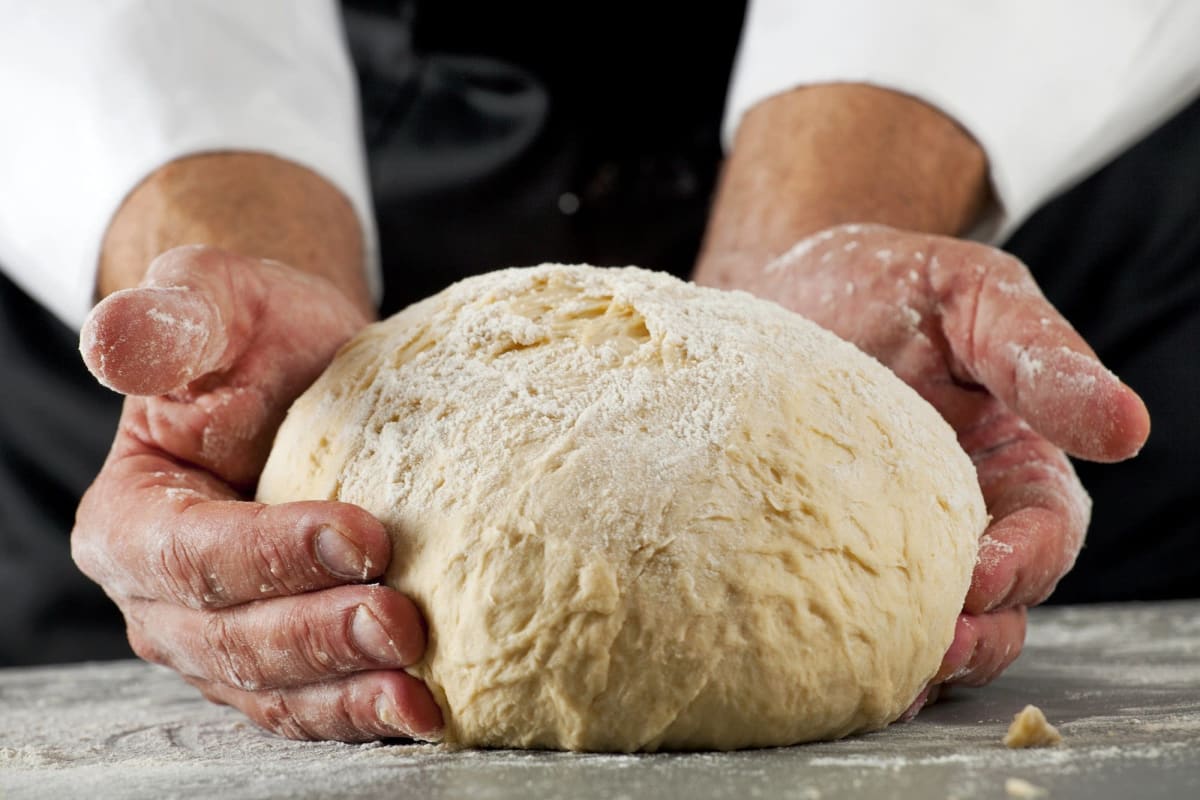 Bread 101: All You Knead to Know - 08/15/2026 Photo