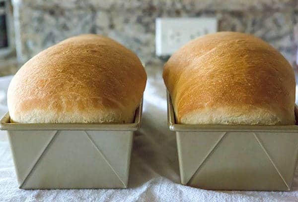 Bread 101: All You Knead to Know - 08/15/2026 Photo