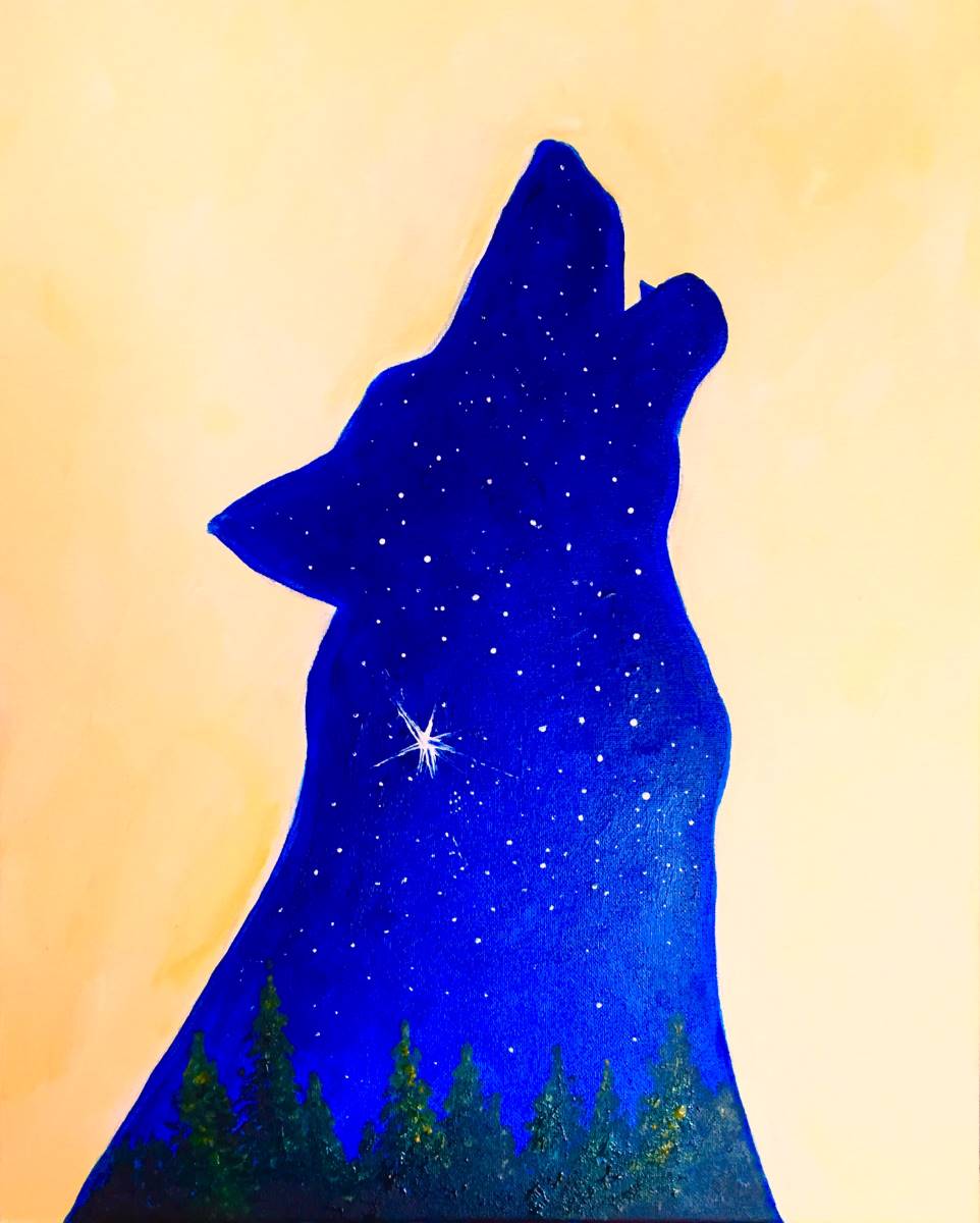 STARRY WOLF Photo