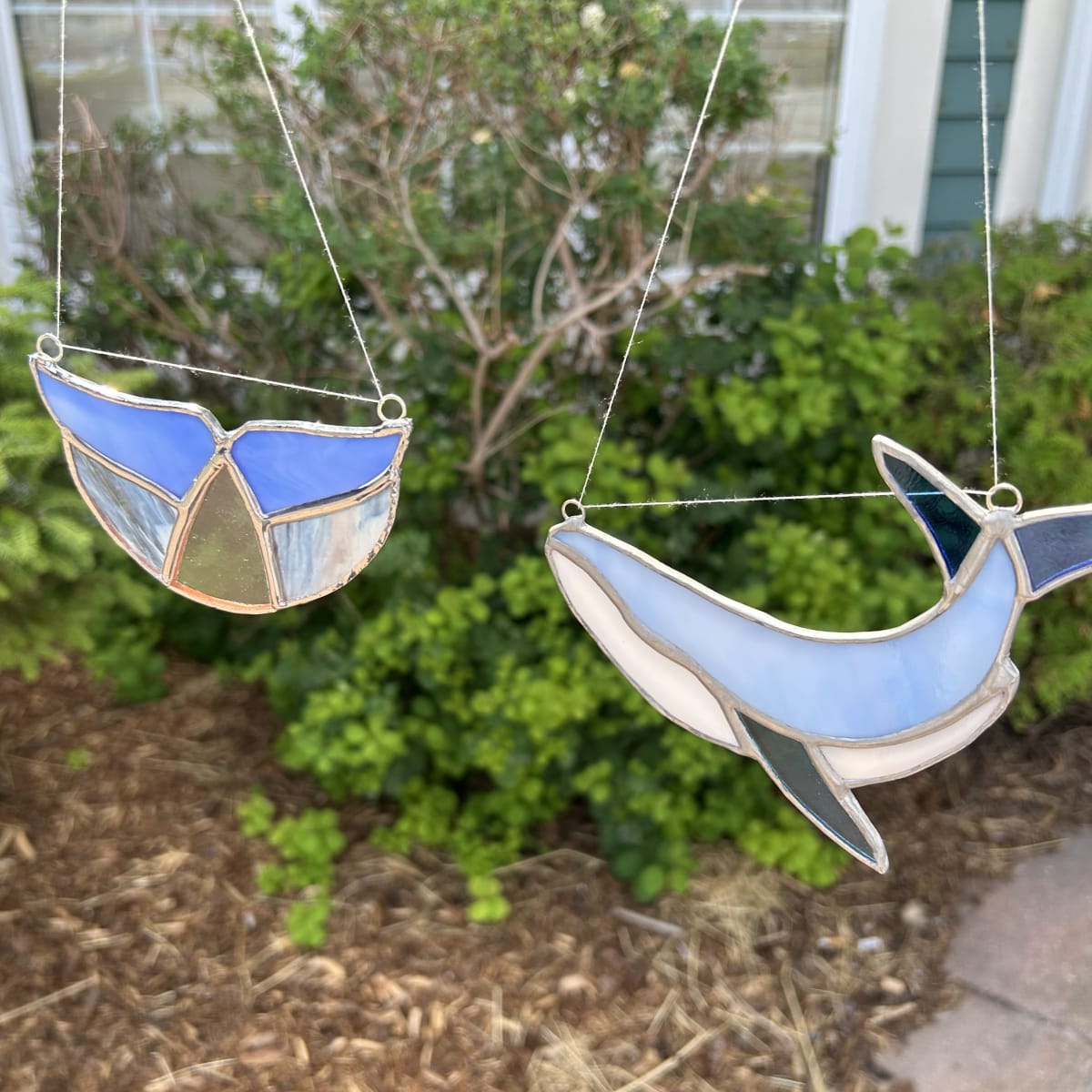 Stained Glass Whales Photo