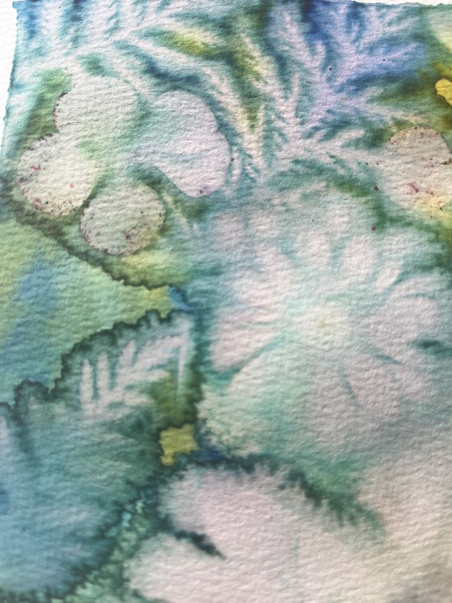 EXPLORING WATERCOLORS WITH JADI Photo