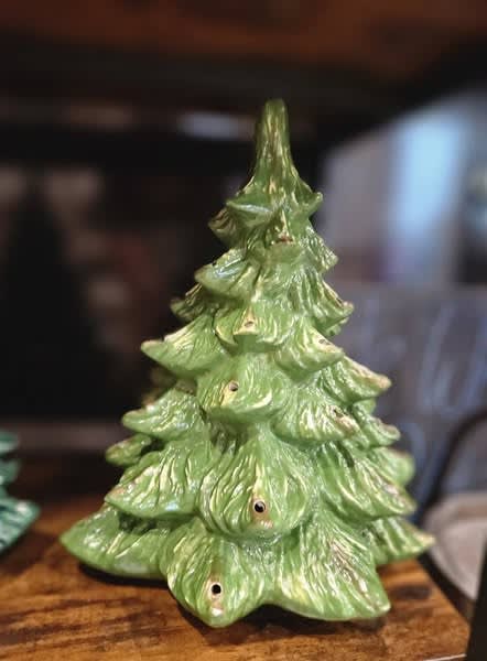 🌲Tree Painting Party🌲 Photo