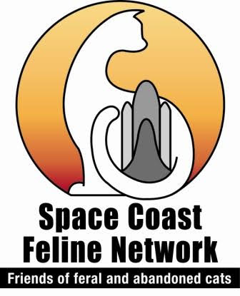 Christmas Paint & Sip with Kitties! - Benefitting SPACE COAST FELINE NETWORK Photo