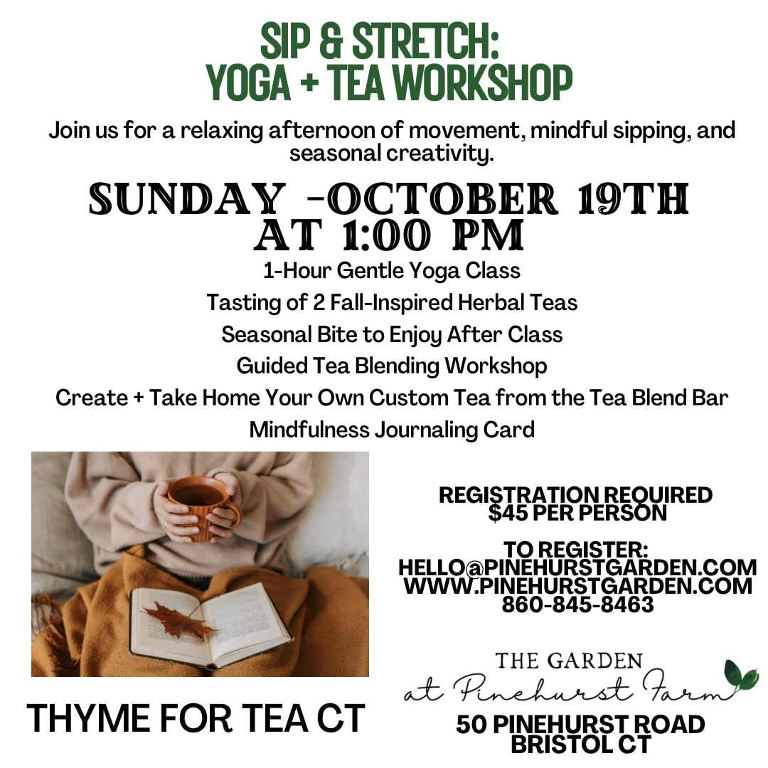 Sip & Stretch: Yoga + Tea Workshop Photo