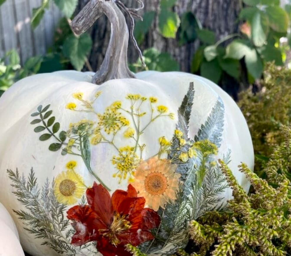 Fall Pumpkin Decoupage Party Photo