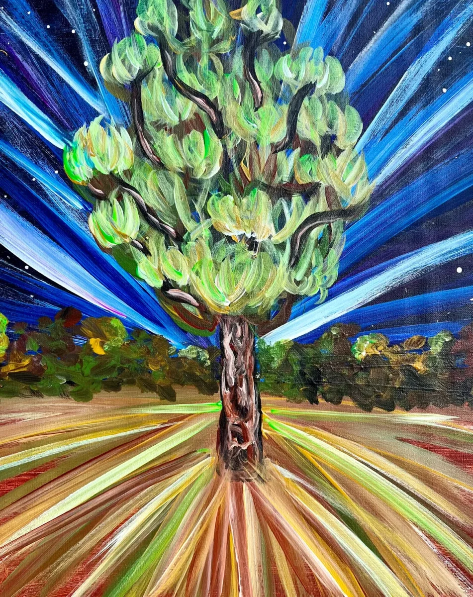 PONDEROSA Photo