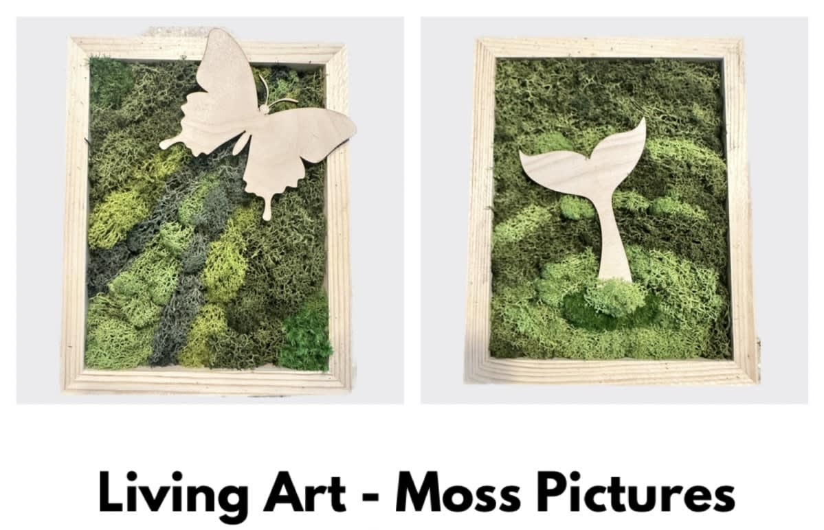 Living Art - Moss Pictures $45 Photo