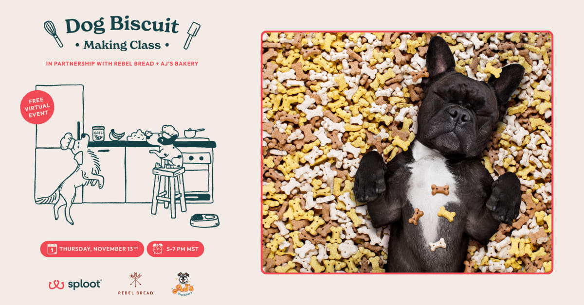 Virtual Dog Biscuit Making Class: Thanksgiving Edition Photo