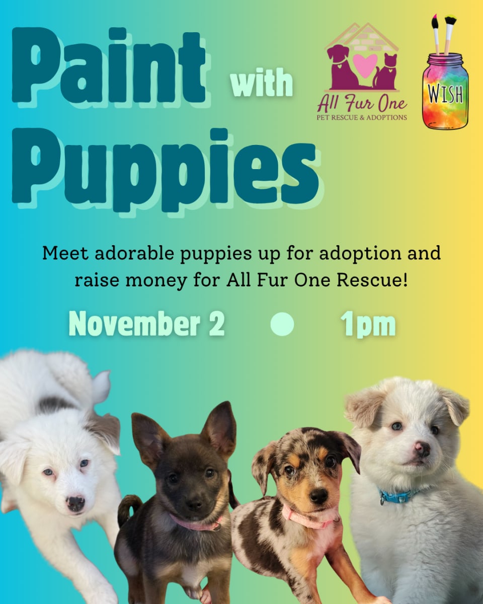 Paint with Puppies from All Fur One Rescue