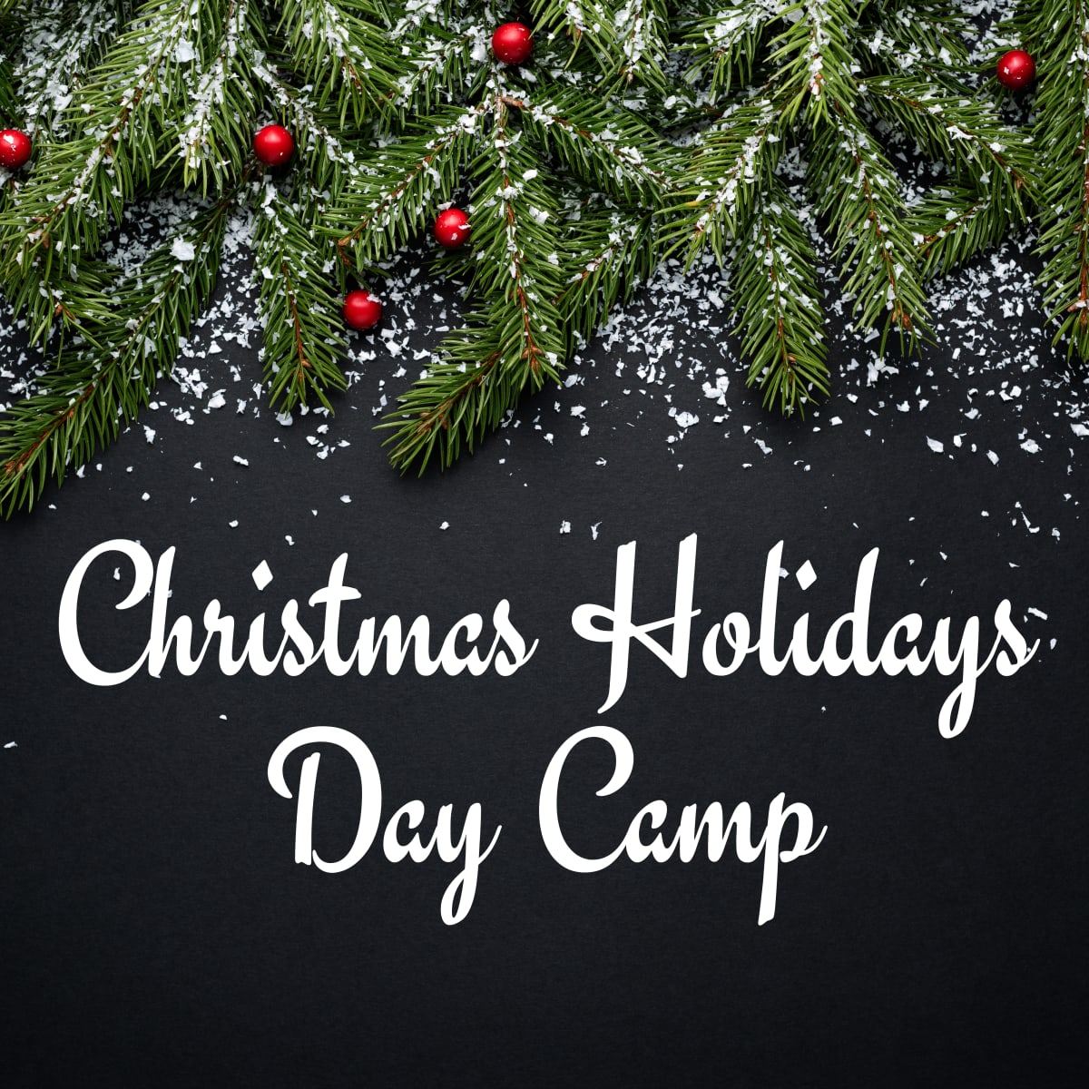 Christmas Holidays Day Camp Photo