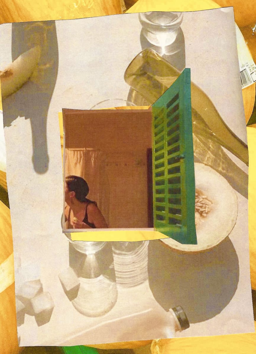 Still Life / Still Feeling: Scanner Collage Photo