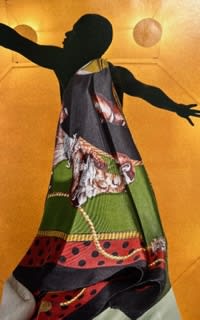 Intro to Soul Collage (Adult, Beginner Friendly) Photo