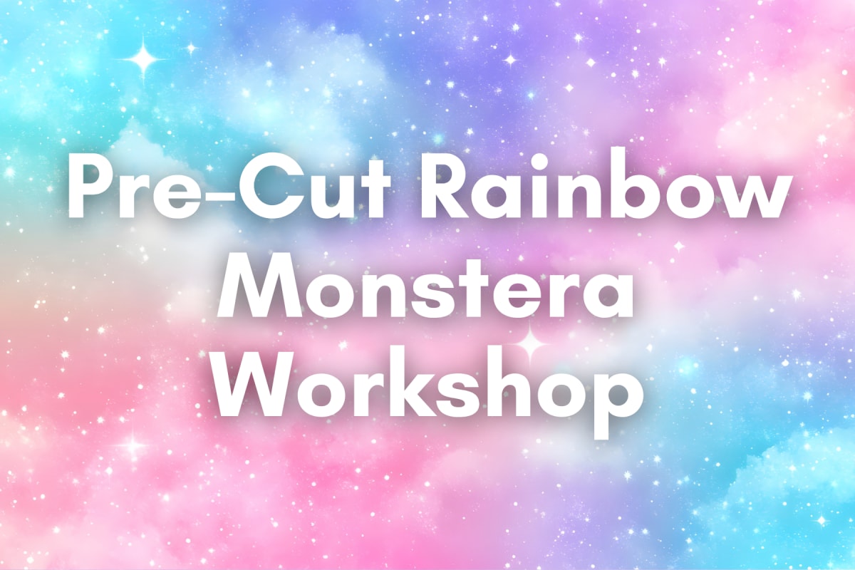 Pre-cut Rainbow Monstera Stained Glass Class Photo