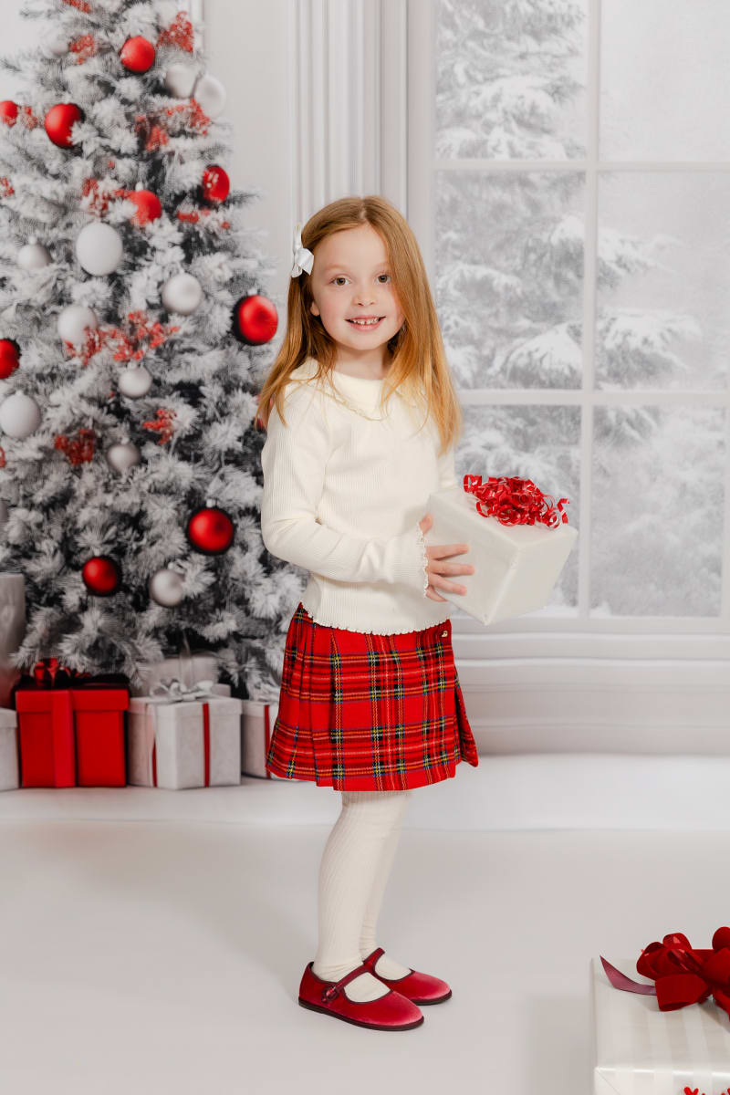 Holiday Mini-Sessions - 2025 Photo