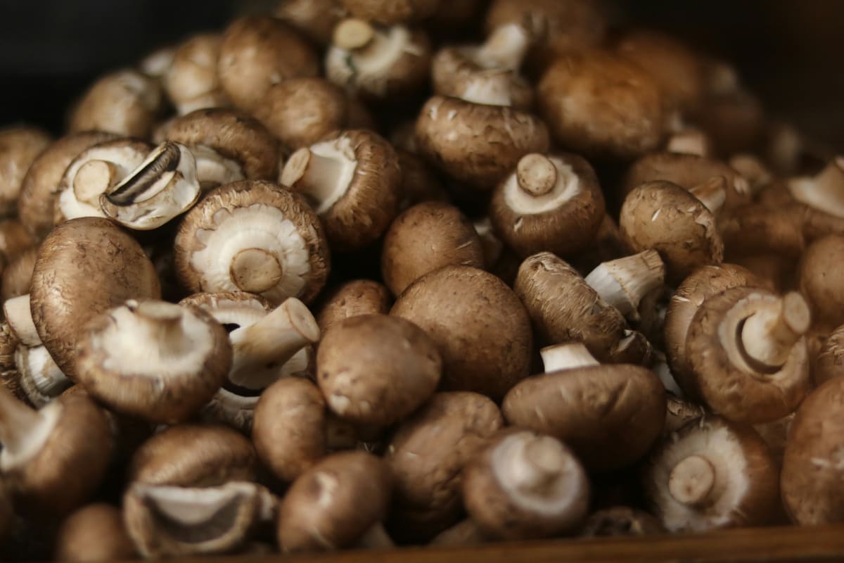 Fresh Pappardelle Pasta w/Portobello, Porcini, Pancetta,Parmesan & Peas-$100.00+fees [Mineola] Photo