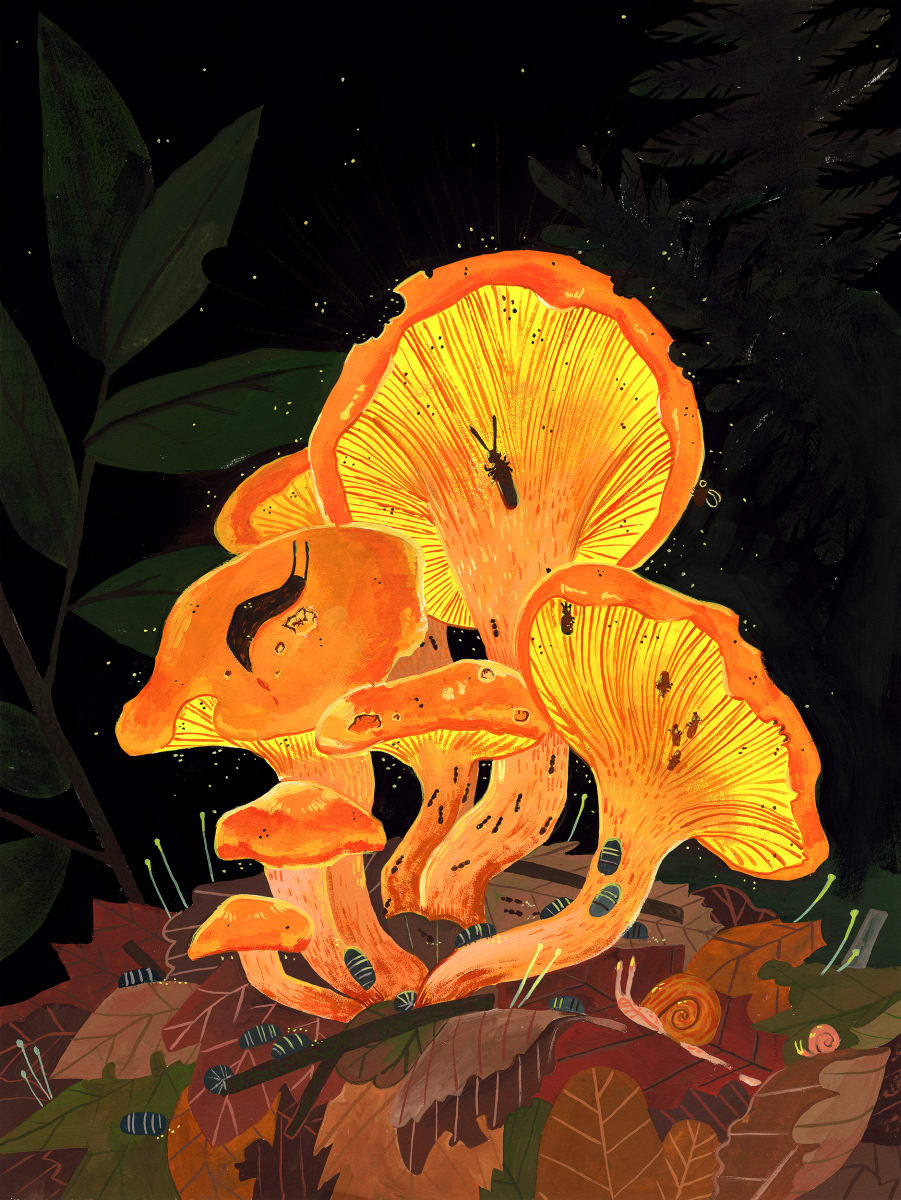 The ART ROOM: Botanical Illustrations in Gouache Series Photo