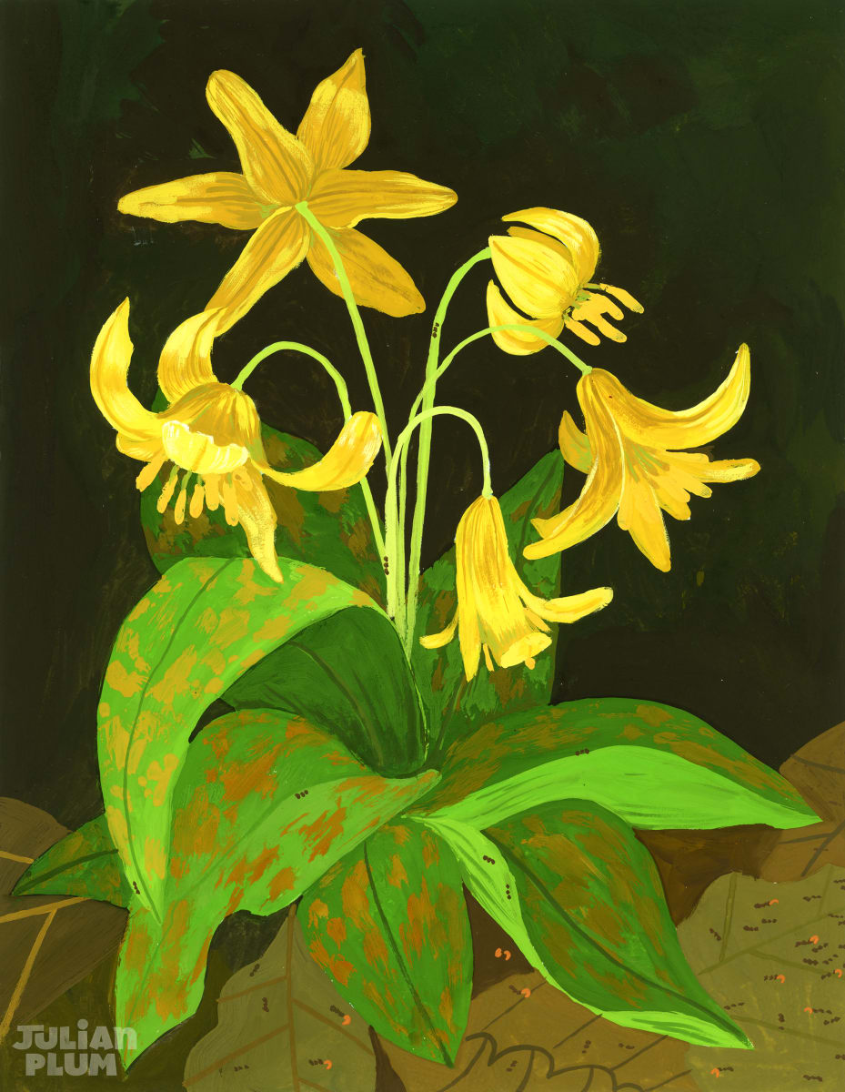 The ART ROOM: Botanical Illustrations in Gouache Series Photo
