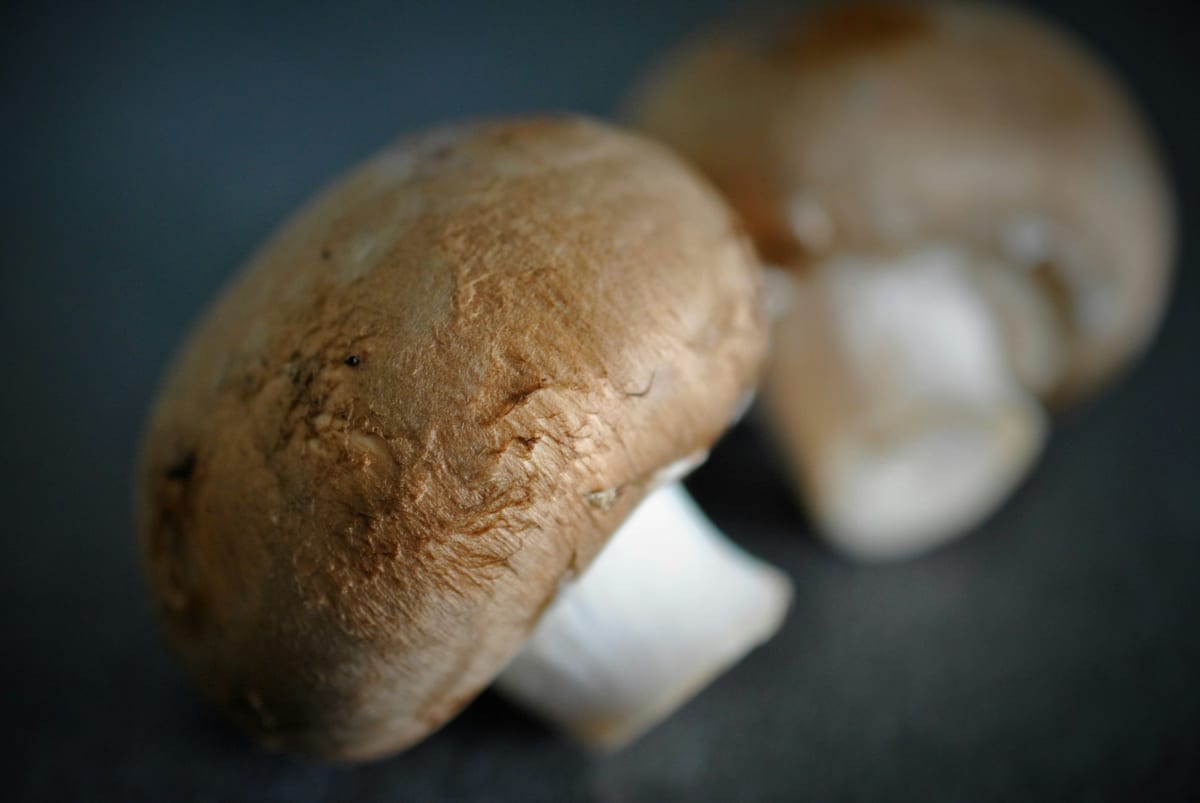 Fresh Pappardelle Pasta w/Portobello, Porcini, Pancetta, Parmesan & Peas-$100.00+fees [Amityville] Photo