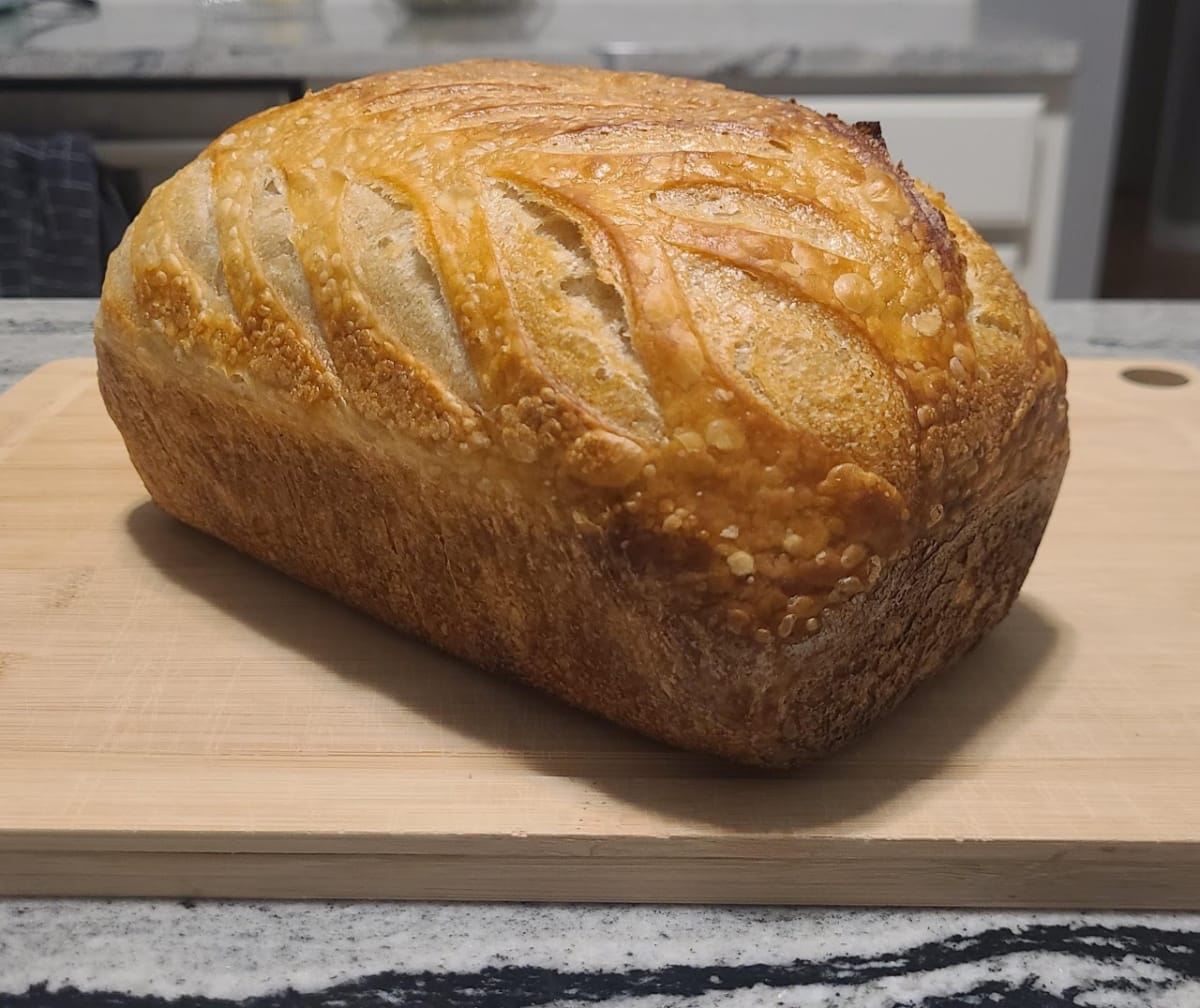 Sourdough 101- Batavia Photo