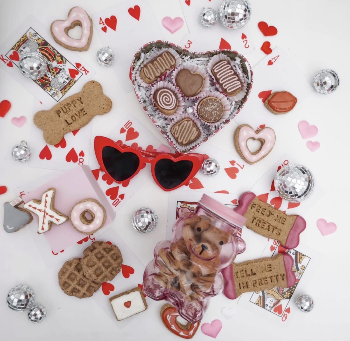 Homemade Dog Treat Workshop: Enrichment Baking for Your Pup Photo
