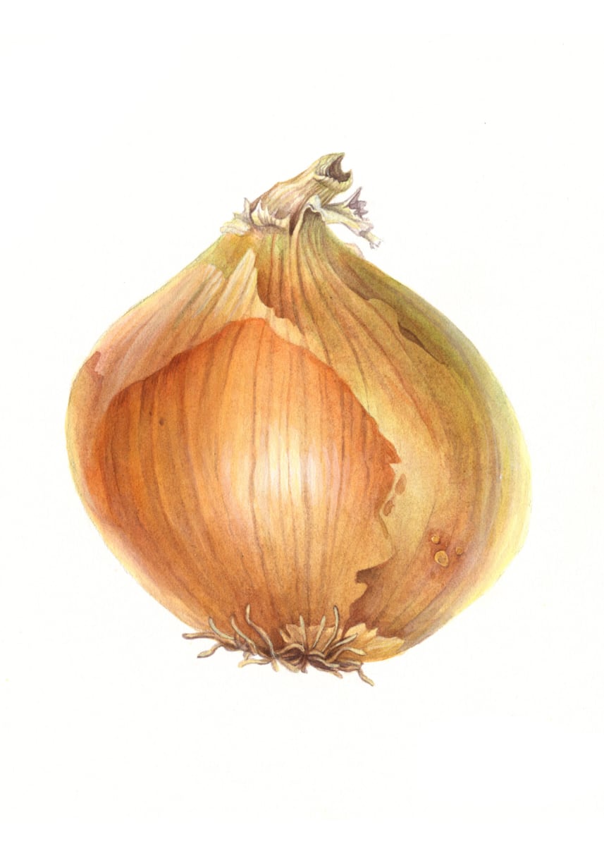 Vegetable Painting, Ages 16+ Photo