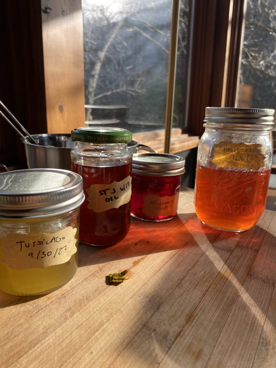 Herbs for the Winter Blues (Adults) Photo