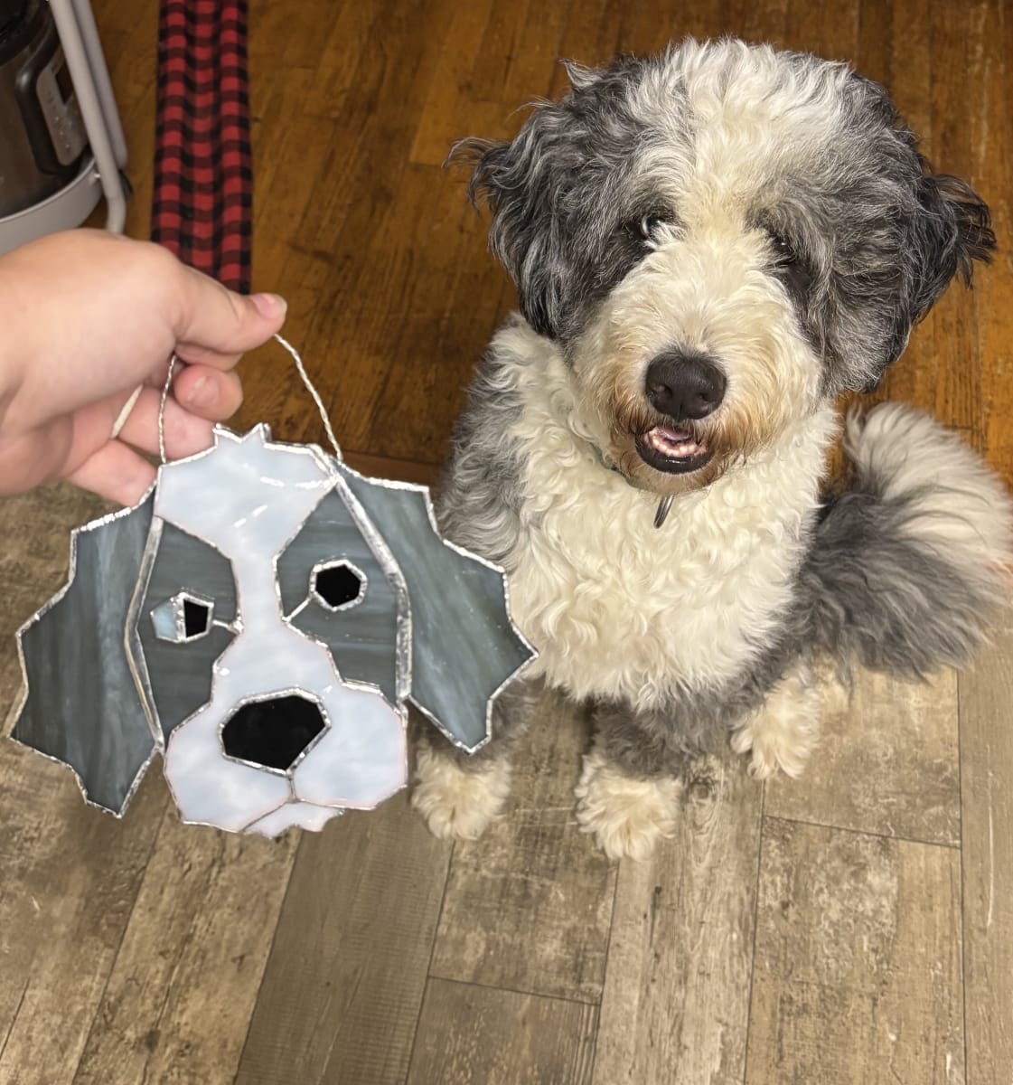 Stained Glass Pet Portrait Photo