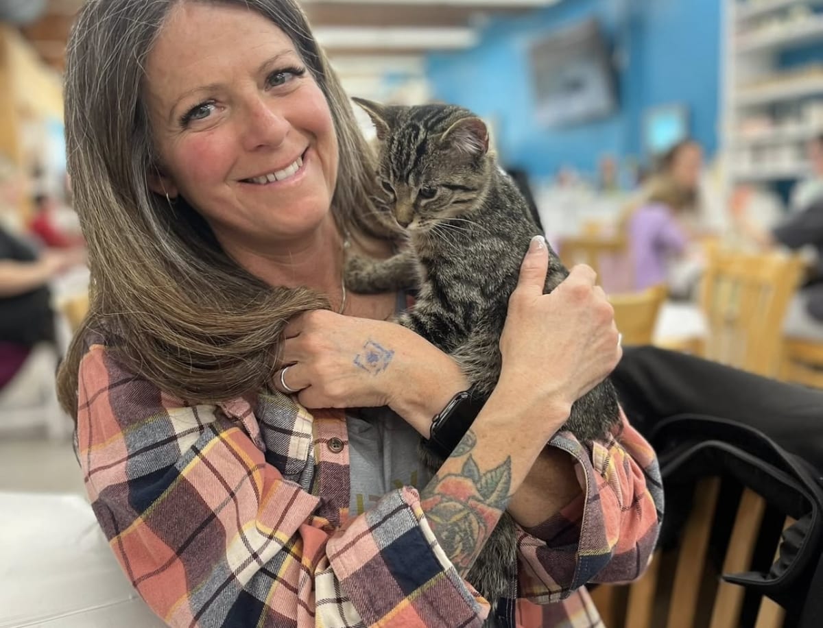 Paint with Kittens | Jan 18th 1-3pm ₍^. .^₎⟆    ᓚᘏᗢ Photo