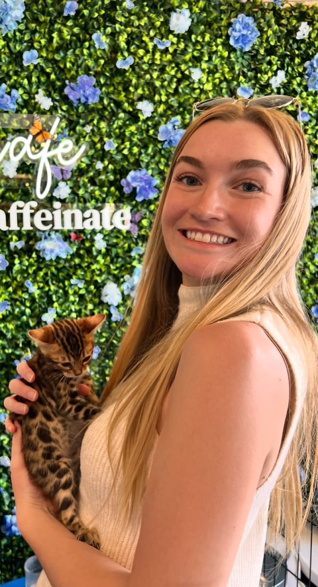 Paint with Kittens | Jan 18th 1-3pm ₍^. .^₎⟆    ᓚᘏᗢ Photo