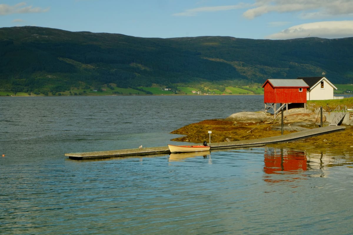 ++NEW++ The Norwegian Chef-ATLANTIC SALMON, MUSHROOM CREAM, RICE PILAF-$100.00+fees (GF) [Huntington] Photo