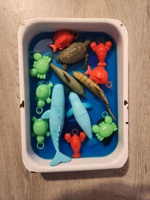 Explorer’s Club: Science Adventures for Toddlers + Caregivers Tuesdays at 10AM Photo