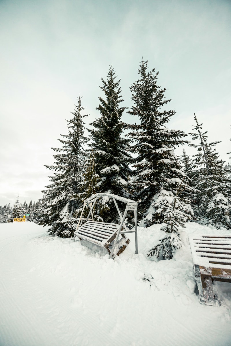 **CLOSED FOR SNOW**ALL LOCATIONS Photo